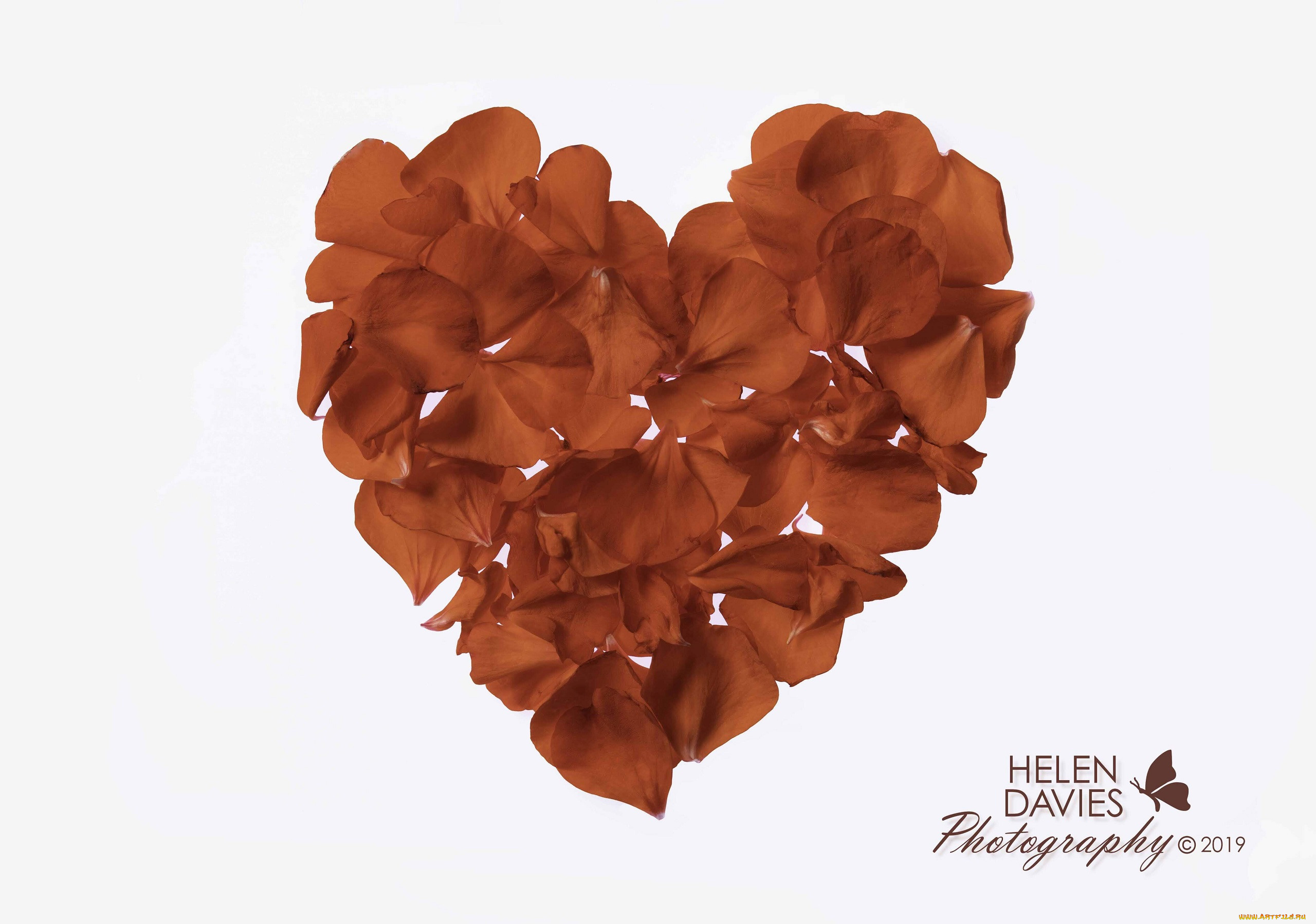 ,   ,  ,  , helen, davies